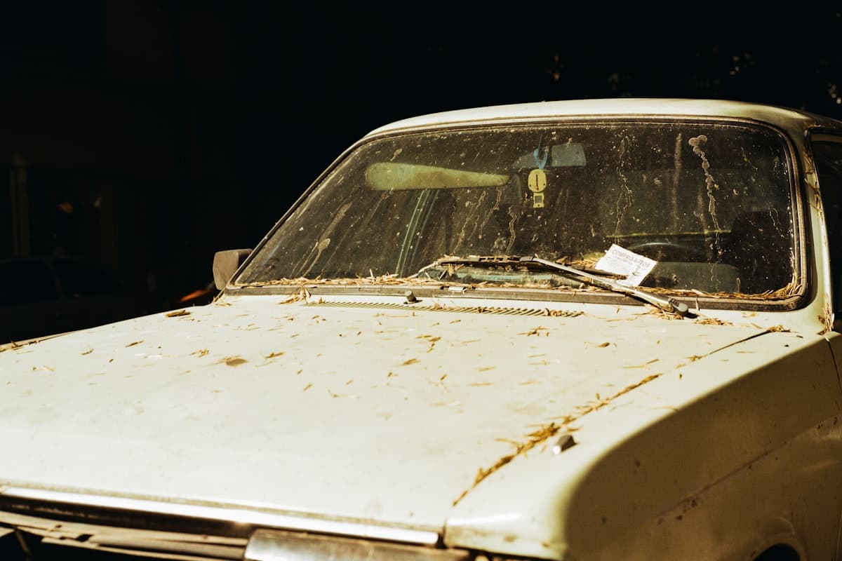 Foto de referencia: vehículo con la pintura opaca y cubierta de polvo, antes de un detailing